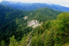 IMG 7768
