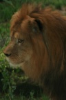 IMG 4766