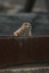 IMG 4865